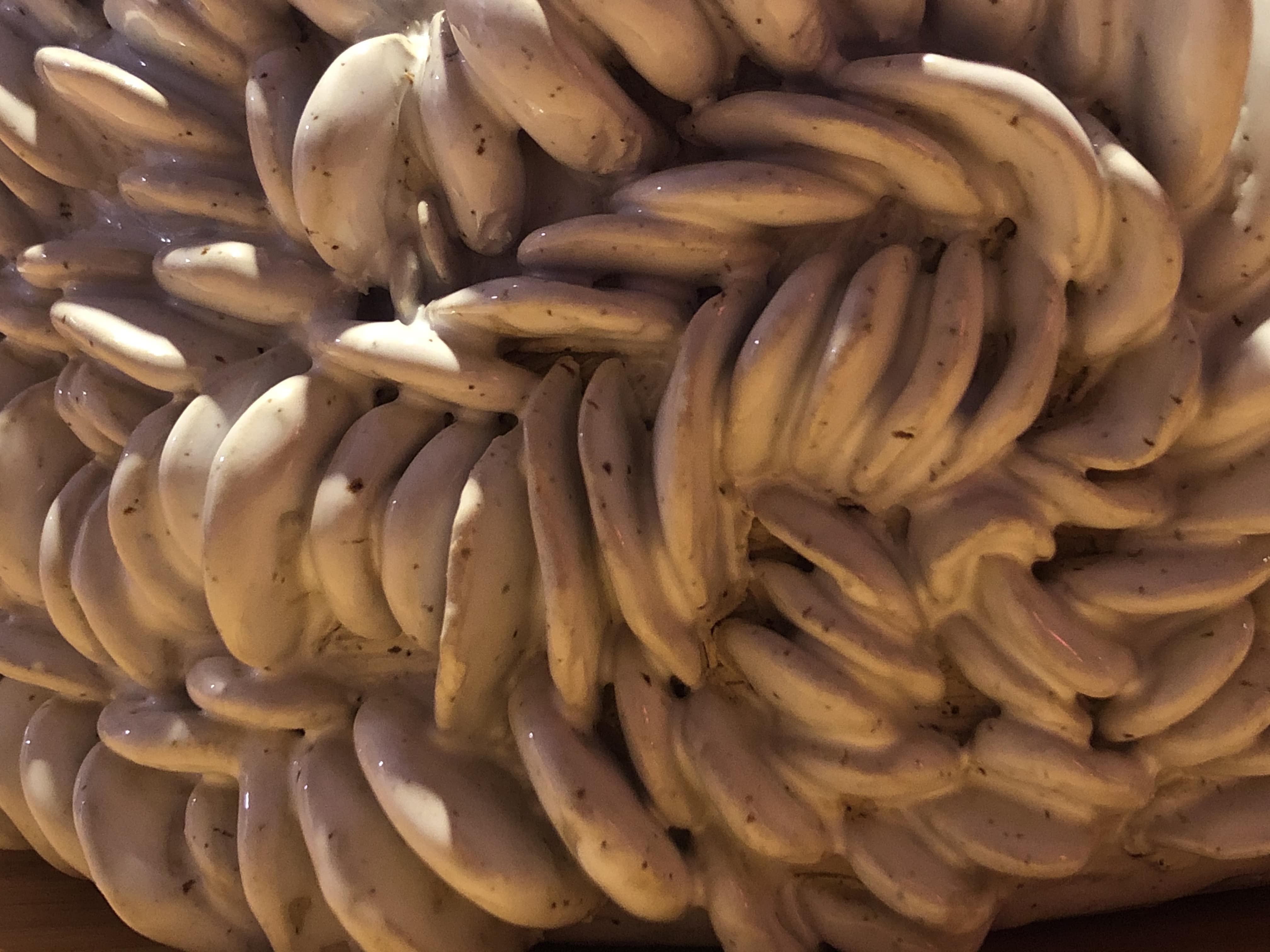 a close-up of a white, ceramic, plant pot
